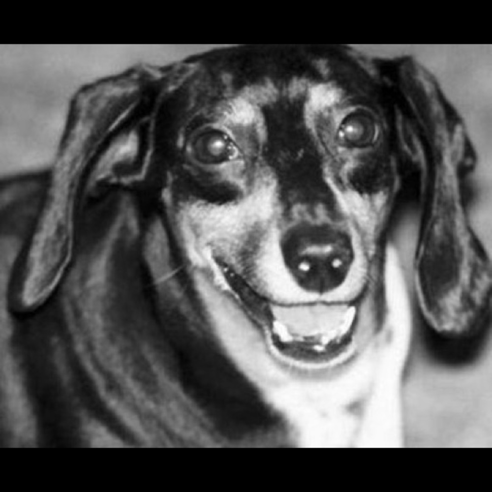 Meet your Posher, Jonathan